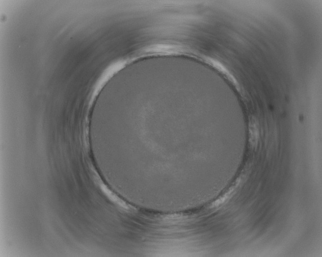 X0000073711421200608031228