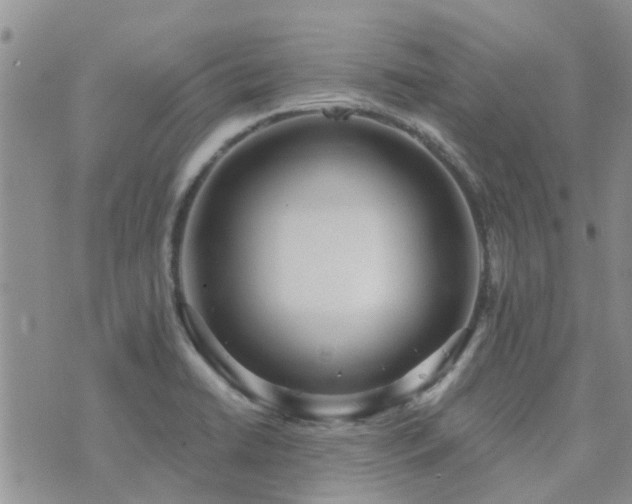 X0000073711422200608031228