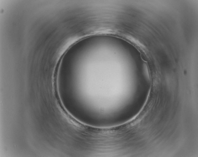 X0000073711423200608031228