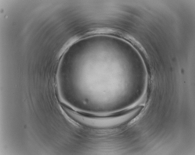 X0000073711425200608031228