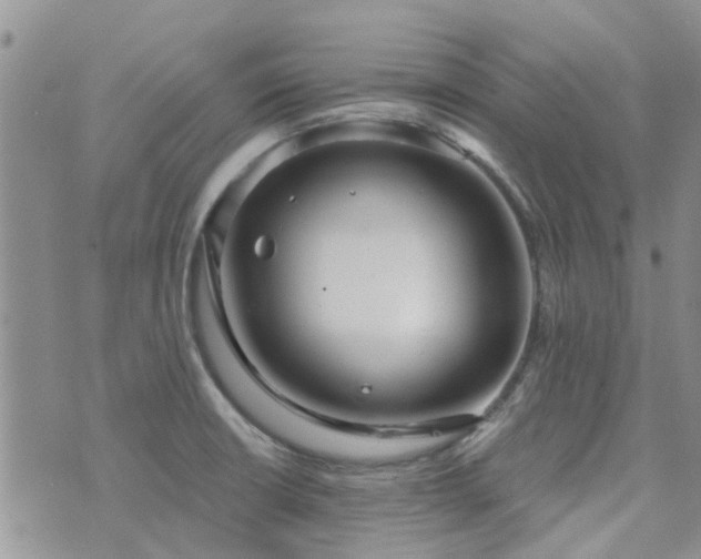 X0000073711426200608031228