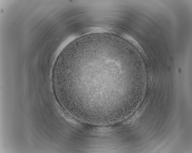 X0000073711427200608031228