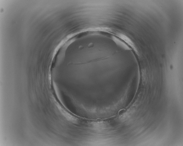 X0000073711428200608031228