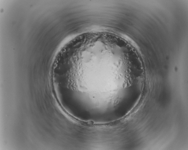 X0000073711429200608031228