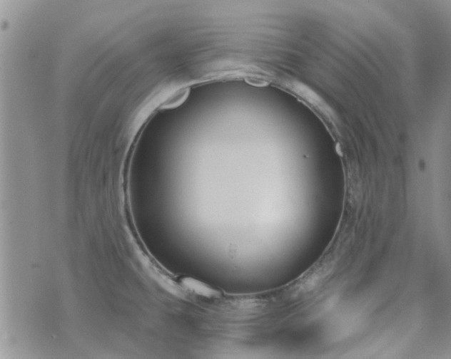 X0000073711431200608031228