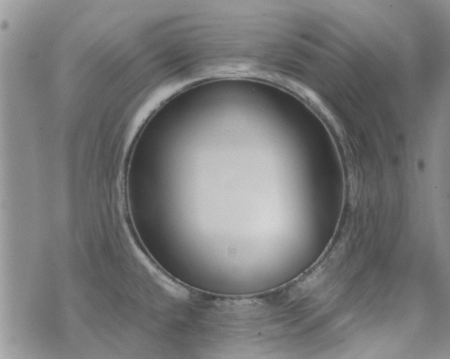 X0000073711432200608031228