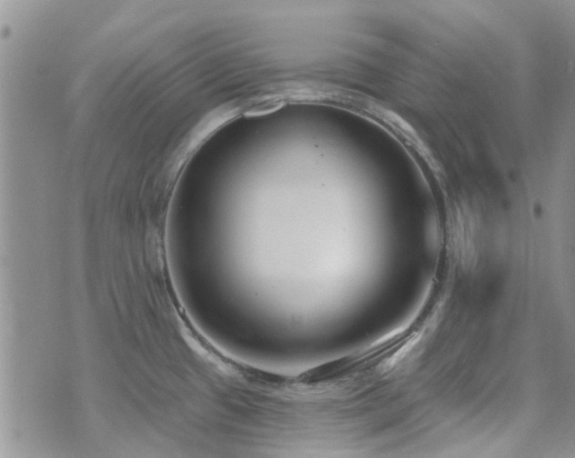 X0000073711433200608031228