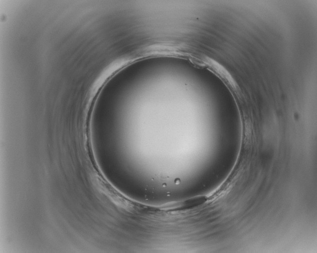 X0000073711435200608031228