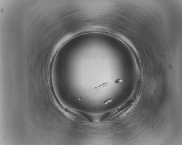 X0000073711437200608031228