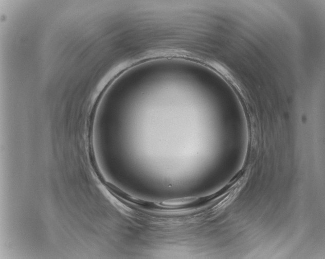 X0000073711438200608031228