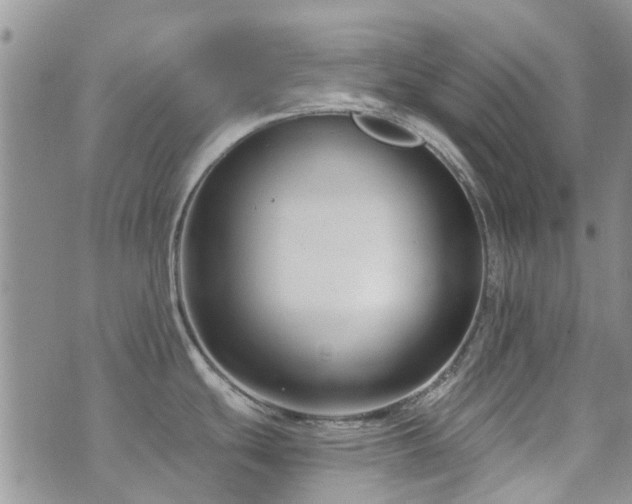 X0000073711439200608031228