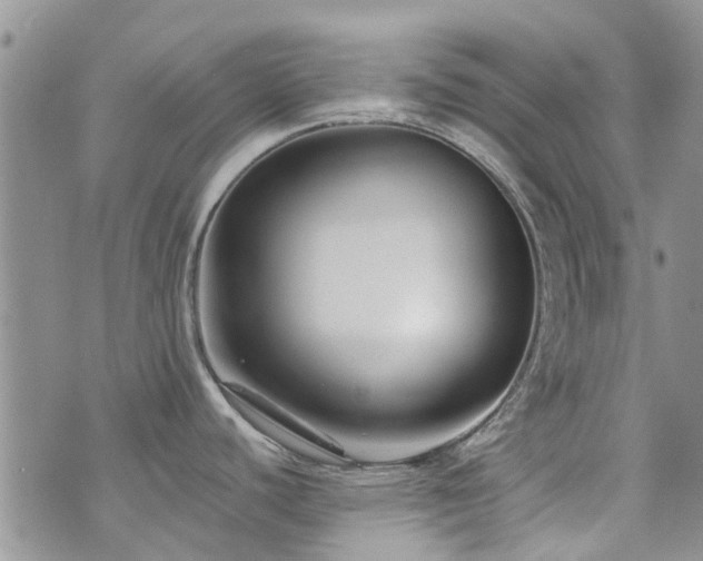 X0000073711440200608031228