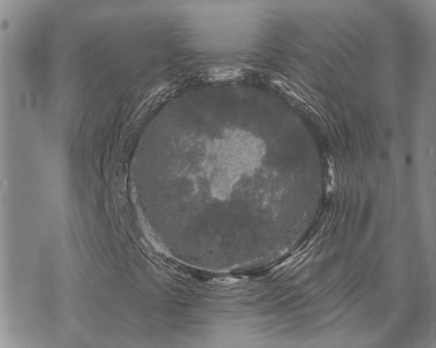 X0000073711441200608031228