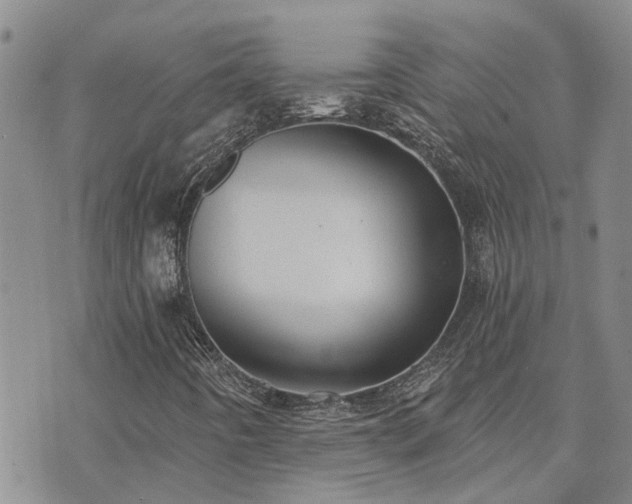 X0000073711442200608031228