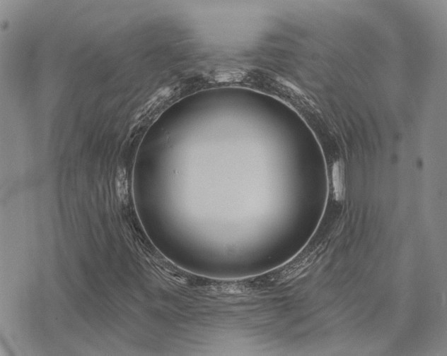 X0000073711443200608031228