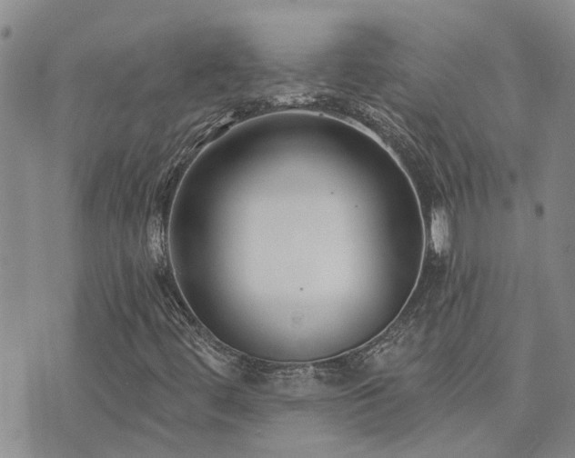 X0000073711444200608031228