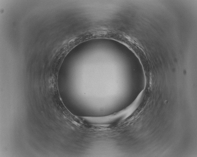 X0000073711445200608031228