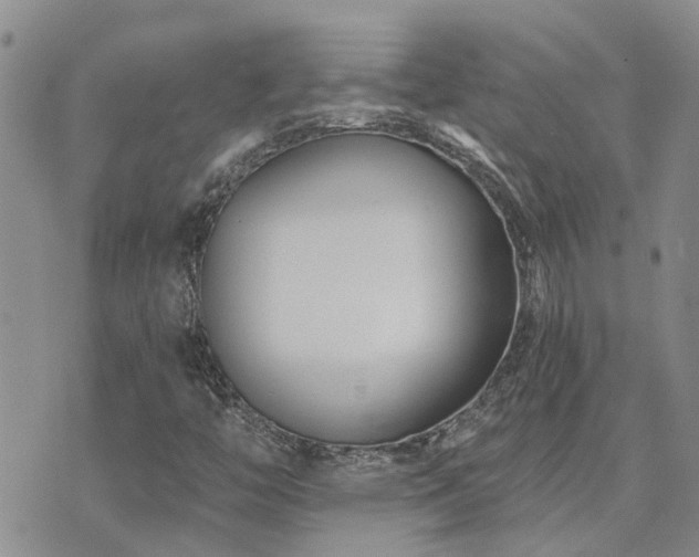 X0000073711446200608031227