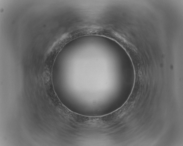 X0000073711447200608031227