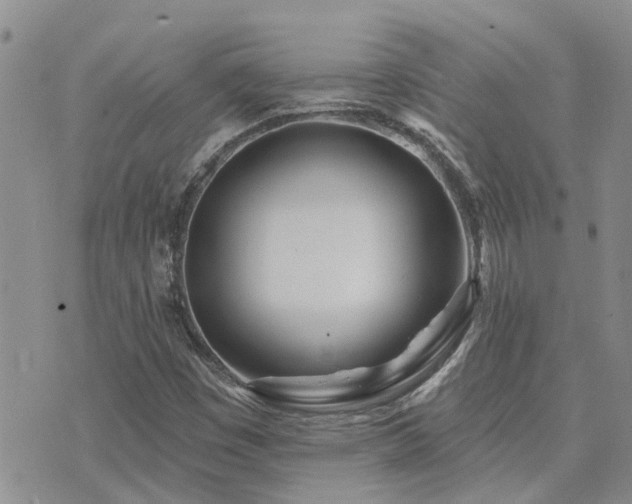 X0000073711449200608031227