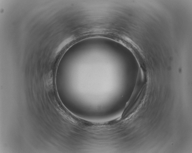 X0000073711450200608031227