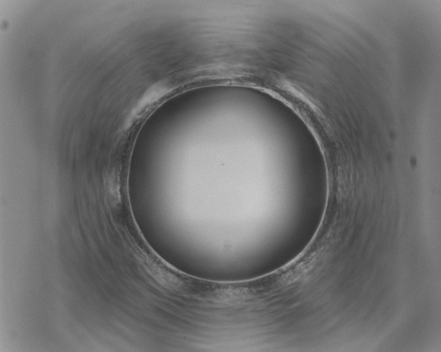 X0000073711451200608031227