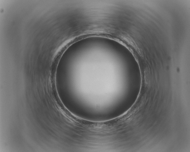 X0000073711452200608031227