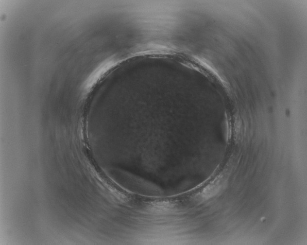 X0000073711455200608031227