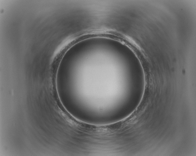 X0000073711456200608031227