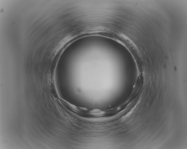 X0000073711457200608031227