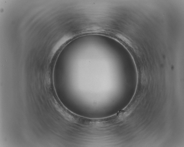 X0000073711458200608031227