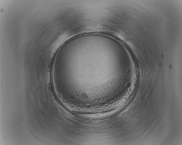 X0000073711459200608031227