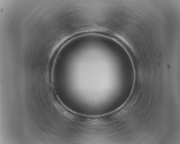 X0000073711460200608031227