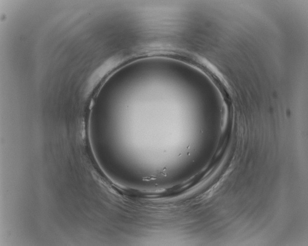 X0000073711461200608031227