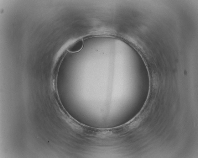 X0000073711462200608031227