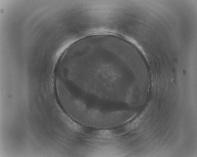 X0000073711463200608031227