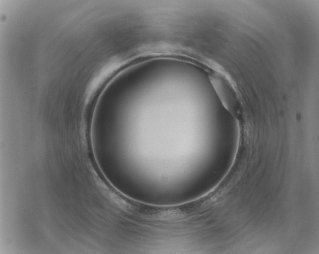 X0000073711464200608031227