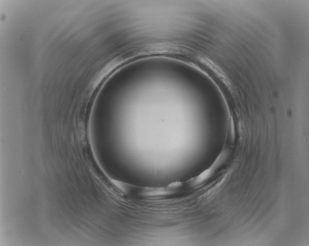 X0000073711465200608031227