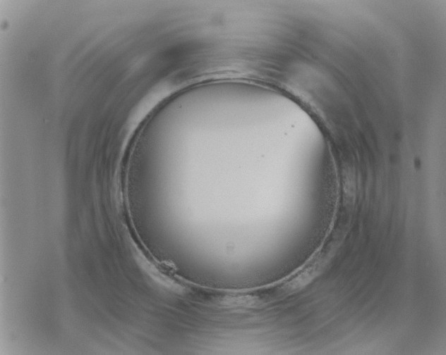 X0000073711466200608031227