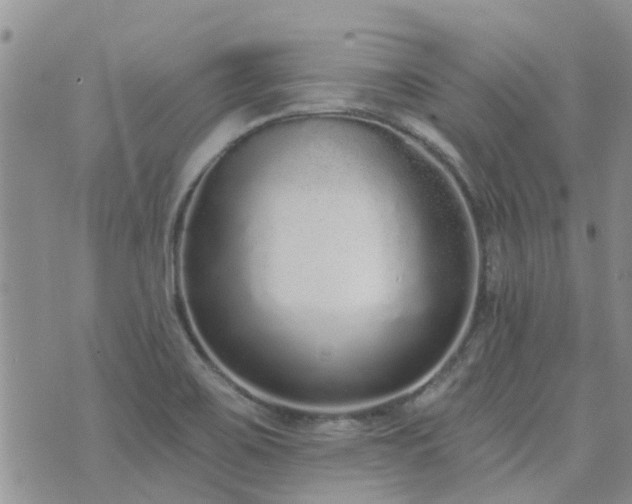 X0000073711467200608031227