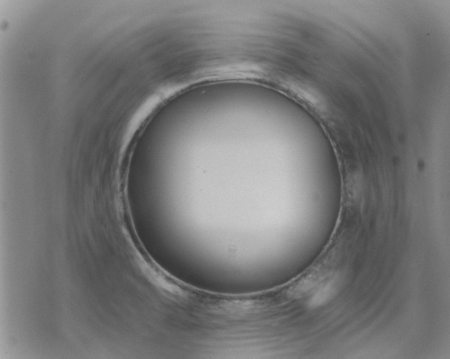 X0000073711470200608031227