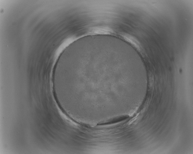 X0000073711471200608031227