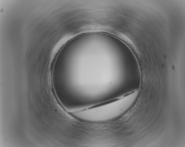 X0000073711472200608031227