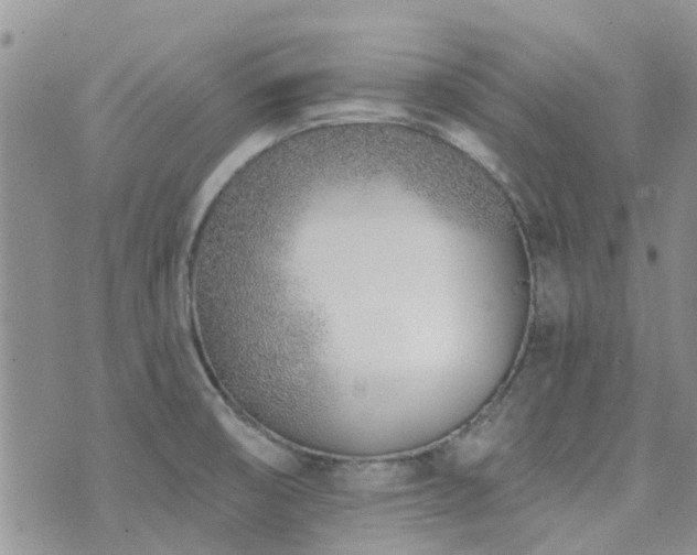 X0000073711474200608031227