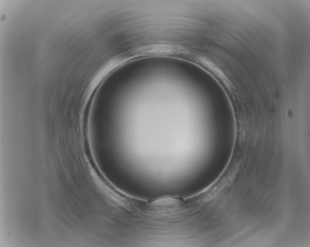 X0000073711475200608031227