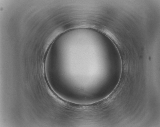 X0000073711476200608031227