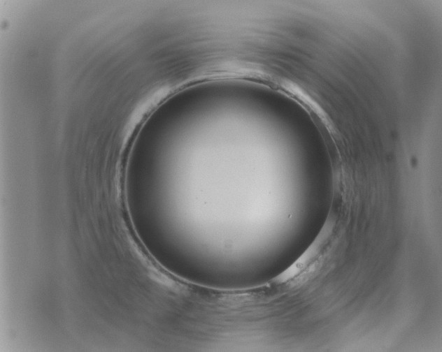 X0000073711477200608031227