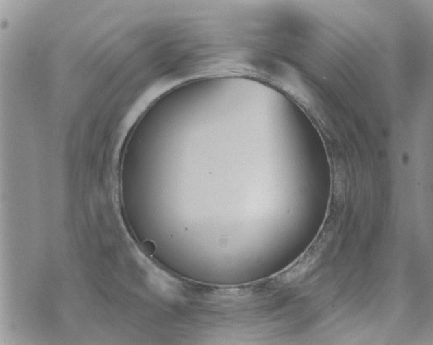 X0000073711478200608031227