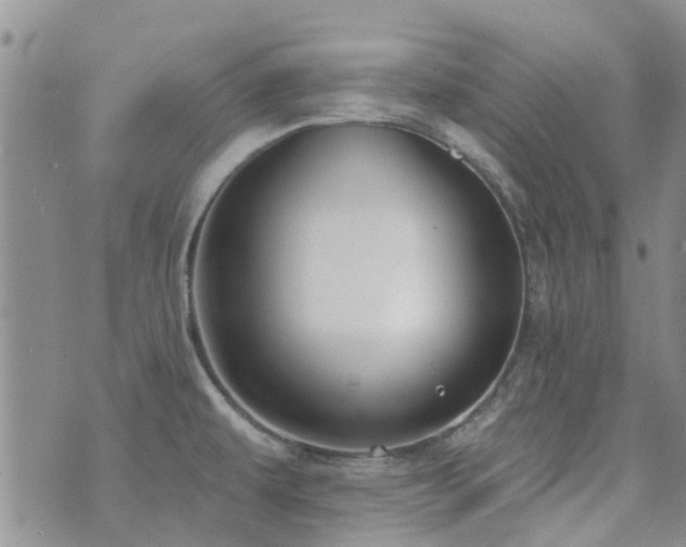 X0000073711479200608031227