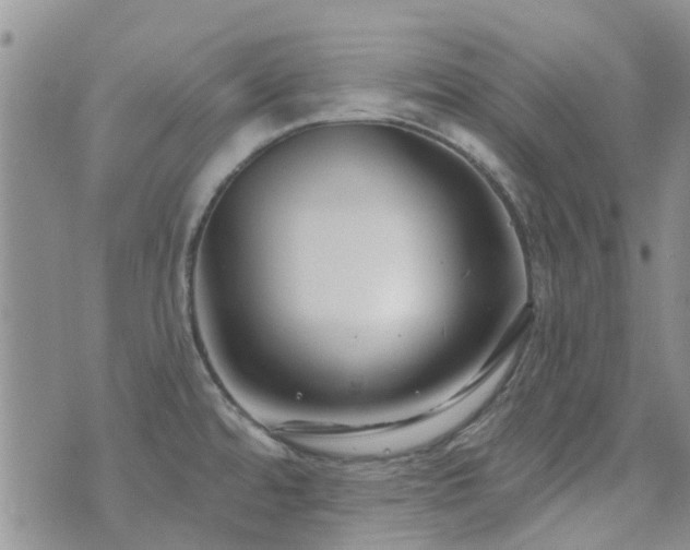 X0000073711480200608031227